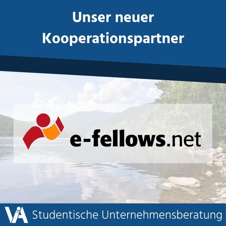 Kooperation mit e-fellows.net